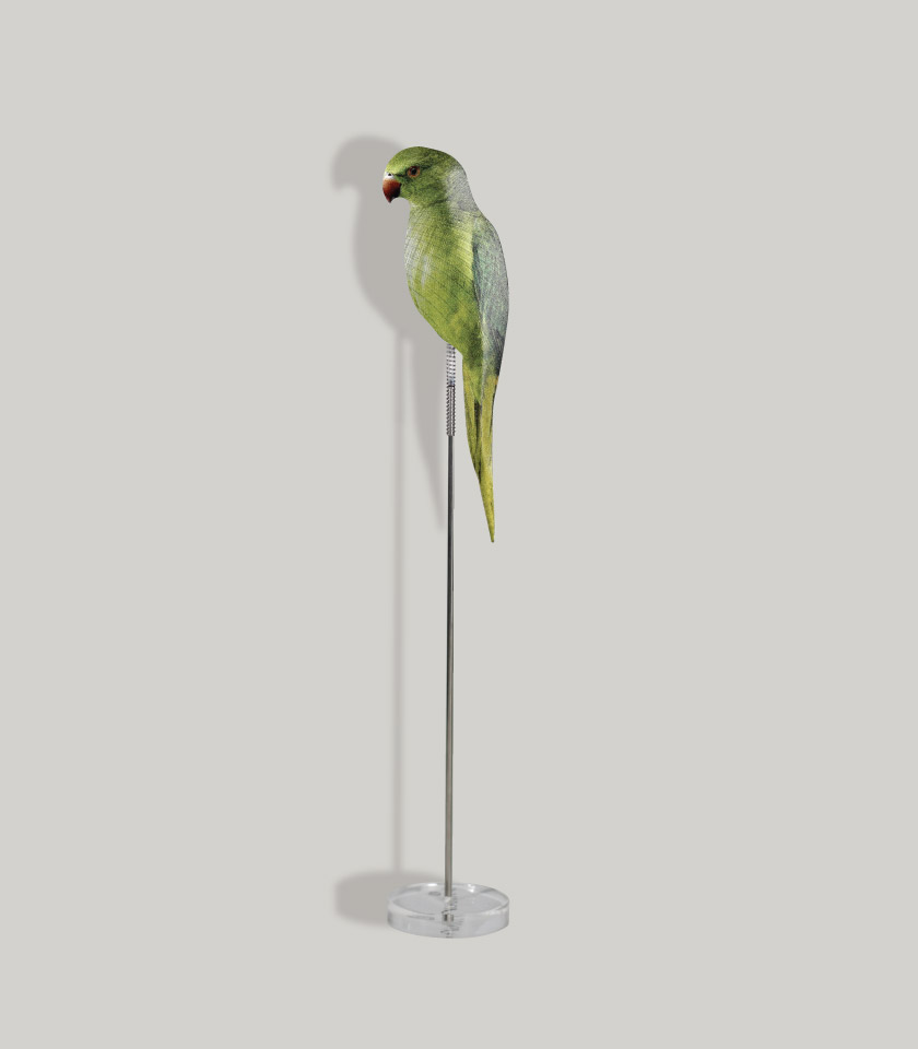 Rod Bird Einstein Rod Bird - Denicheuse